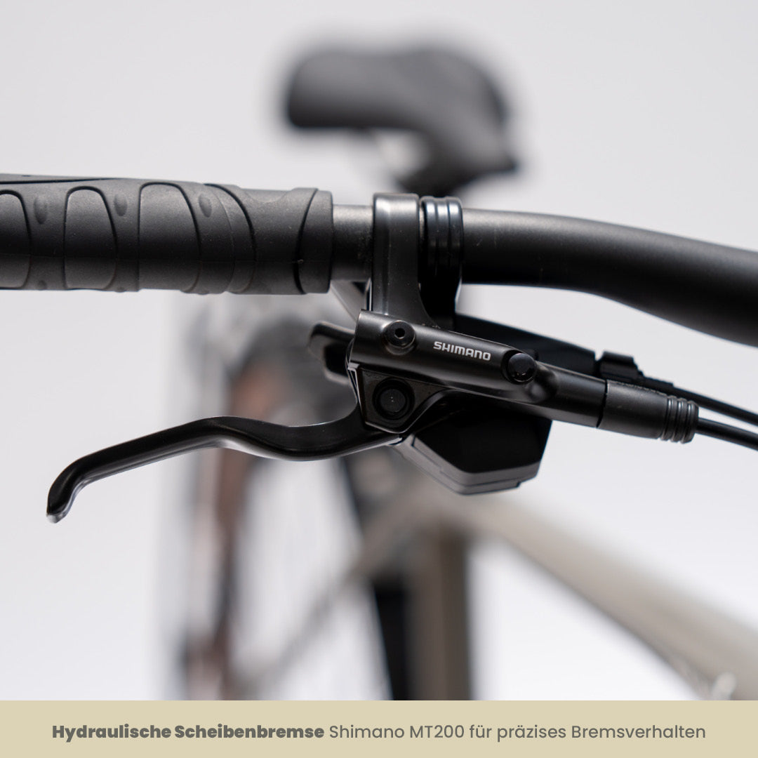 sushi-bike-tabi-trekking-e-bike-28-zoll-9-gang-90-km image 8