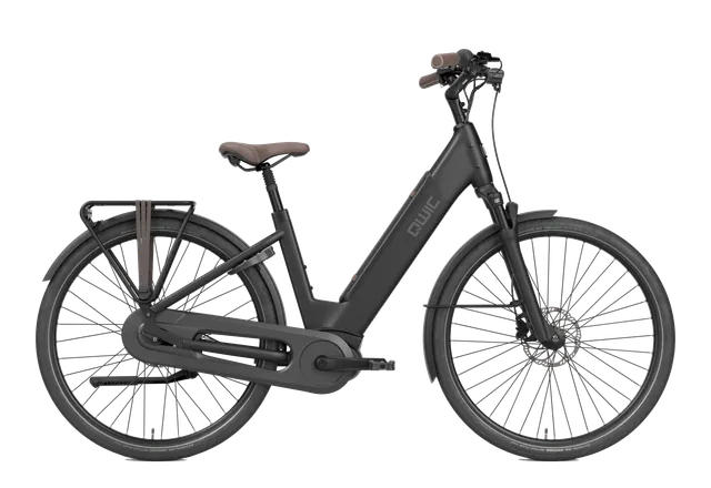 qwic-elan-daily-city-e-bike-mit-tiefem-einstieg image 1