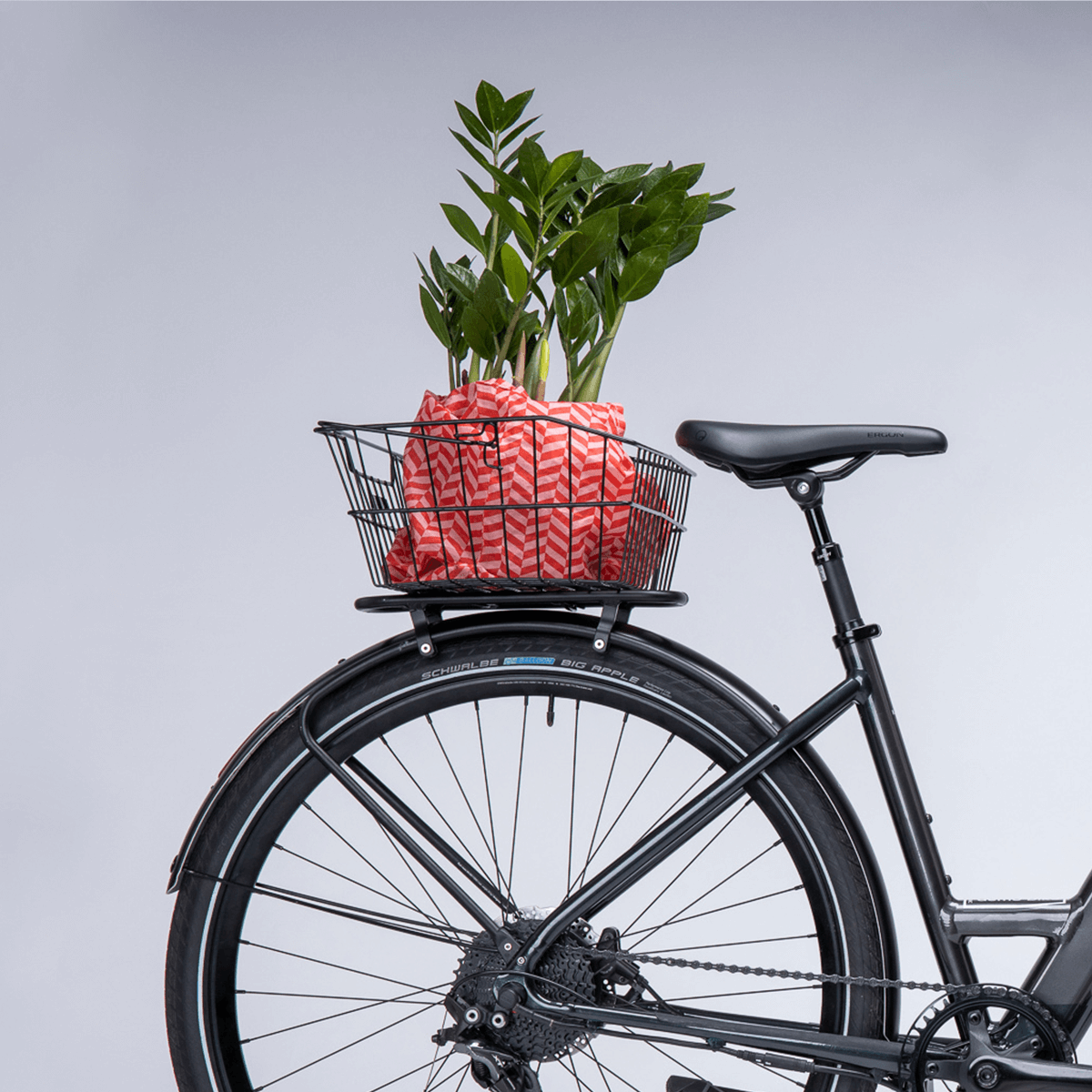 coboc-racktop-gep-cktr-ger-f-r-bristol-e-bike image 3